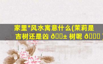 家里*
风水寓意什么(茉莉是吉树还是凶 🐱 树呢 💐 )